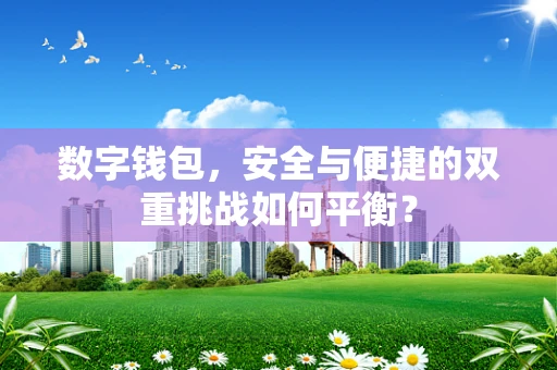 数字钱包，安全与便捷的双重挑战如何平衡？