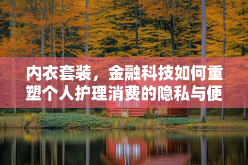 内衣套装，金融科技如何重塑个人护理消费的隐私与便捷？