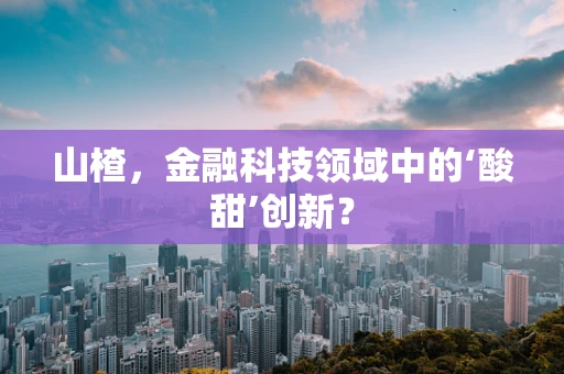 山楂，金融科技领域中的‘酸甜’创新？