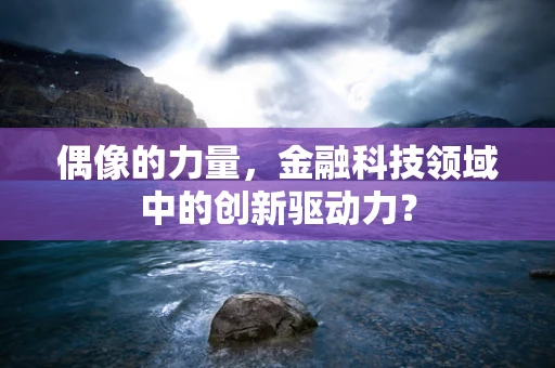 偶像的力量，金融科技领域中的创新驱动力？