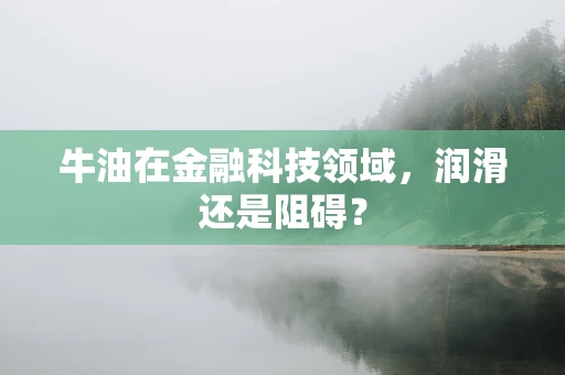牛油在金融科技领域，润滑还是阻碍？