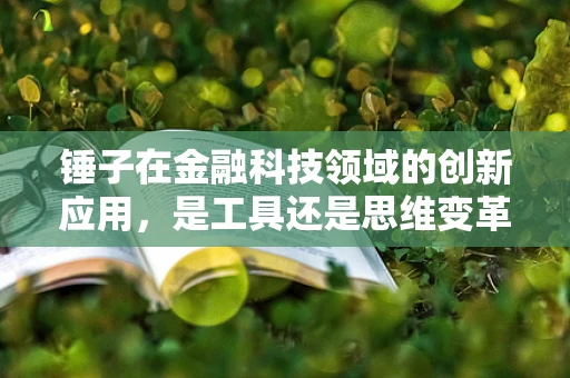 锤子在金融科技领域的创新应用，是工具还是思维变革？