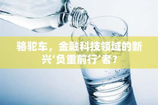 骆驼车，金融科技领域的新兴‘负重前行’者？