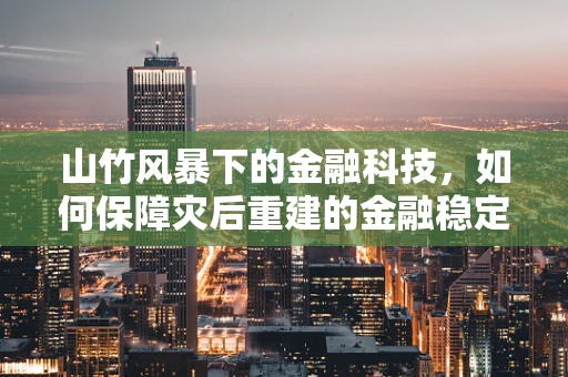 山竹风暴下的金融科技，如何保障灾后重建的金融稳定与效率？