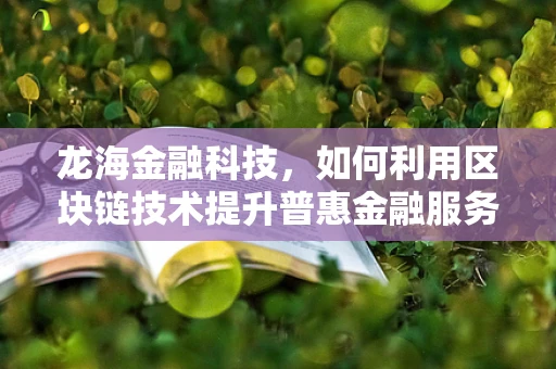 龙海金融科技，如何利用区块链技术提升普惠金融服务？