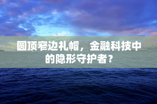 圆顶窄边礼帽，金融科技中的隐形守护者？