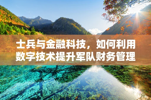 士兵与金融科技，如何利用数字技术提升军队财务管理效率？