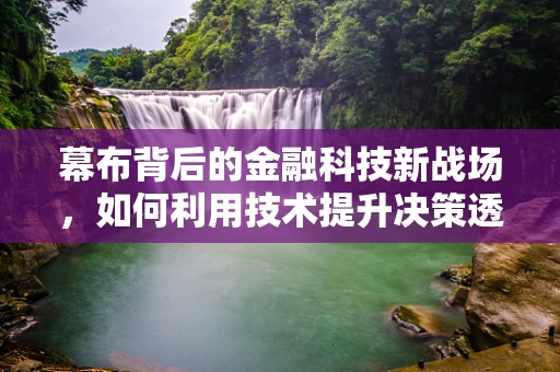 幕布背后的金融科技新战场，如何利用技术提升决策透明度？