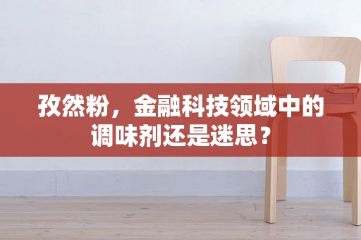 孜然粉，金融科技领域中的调味剂还是迷思？