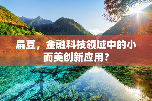 扁豆，金融科技领域中的小而美创新应用？