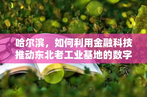 哈尔滨，如何利用金融科技推动东北老工业基地的数字化转型？