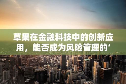 草果在金融科技中的创新应用，能否成为风险管理的‘秘宝’？