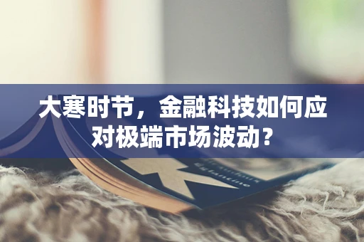大寒时节，金融科技如何应对极端市场波动？