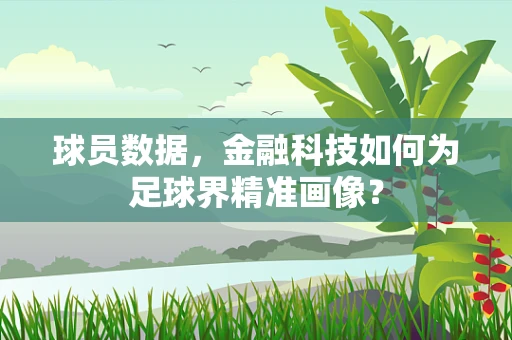 球员数据，金融科技如何为足球界精准画像？