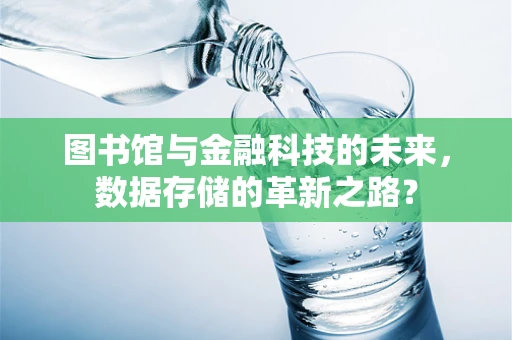 图书馆与金融科技的未来，数据存储的革新之路？