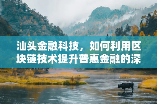 汕头金融科技，如何利用区块链技术提升普惠金融的深度与广度？