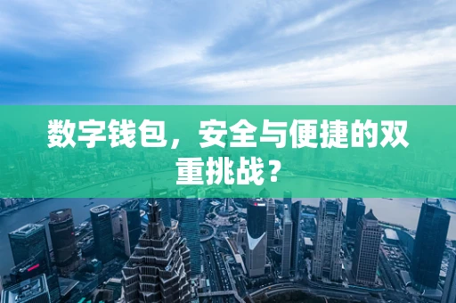 数字钱包，安全与便捷的双重挑战？