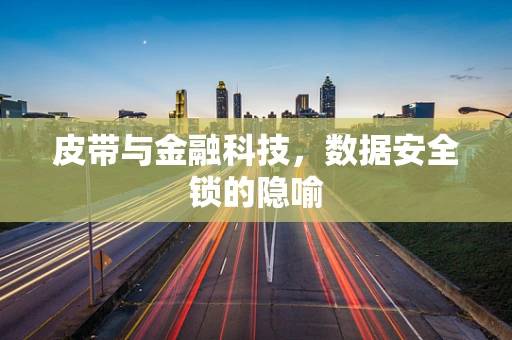 皮带与金融科技，数据安全锁的隐喻