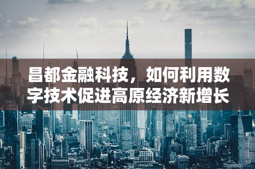 昌都金融科技，如何利用数字技术促进高原经济新增长？