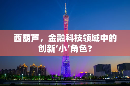 西葫芦，金融科技领域中的创新‘小’角色？