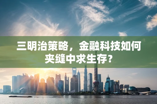 三明治策略，金融科技如何夹缝中求生存？