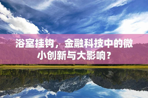 浴室挂钩，金融科技中的微小创新与大影响？