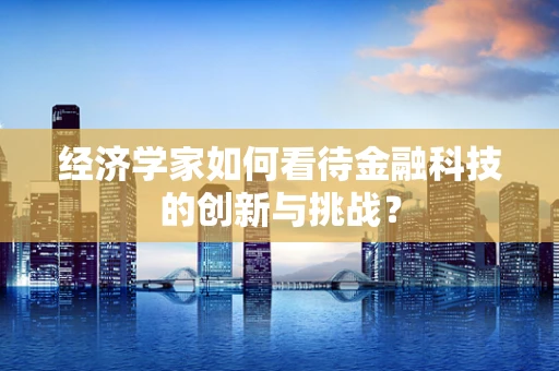 经济学家如何看待金融科技的创新与挑战？