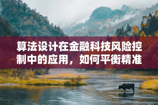 算法设计在金融科技风险控制中的应用，如何平衡精准度与效率？