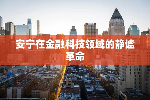 安宁在金融科技领域的静谧革命