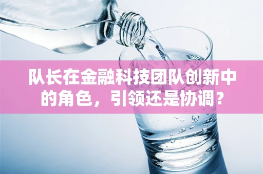队长在金融科技团队创新中的角色，引领还是协调？
