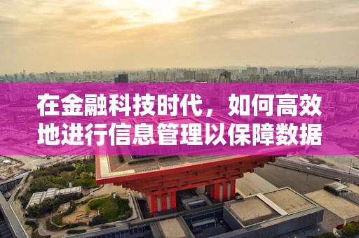在金融科技时代，如何高效地进行信息管理以保障数据安全与隐私？