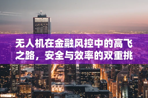 无人机在金融风控中的高飞之路，安全与效率的双重挑战