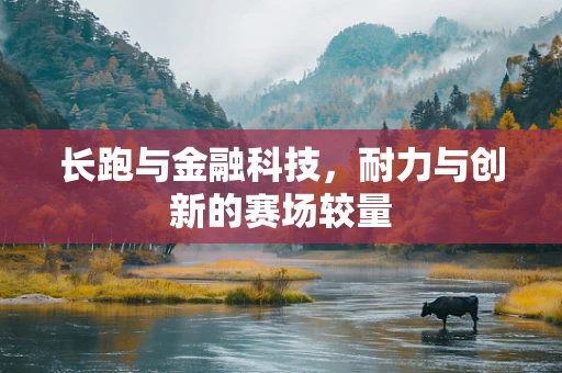 长跑与金融科技，耐力与创新的赛场较量