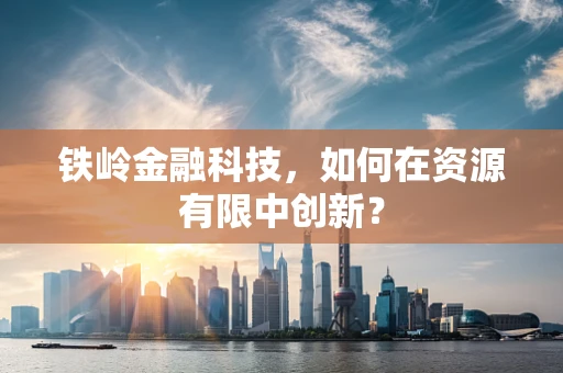 铁岭金融科技，如何在资源有限中创新？
