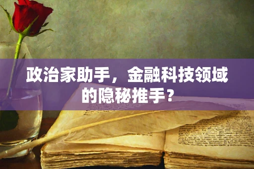 政治家助手，金融科技领域的隐秘推手？