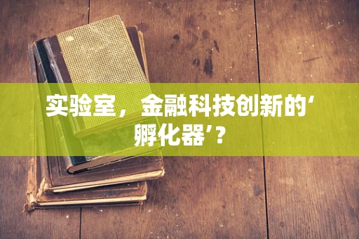 实验室，金融科技创新的‘孵化器’？