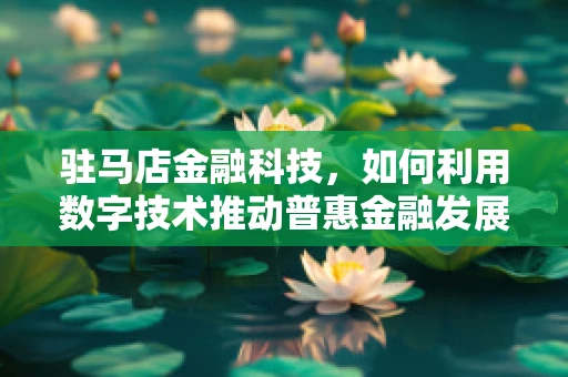 驻马店金融科技，如何利用数字技术推动普惠金融发展？