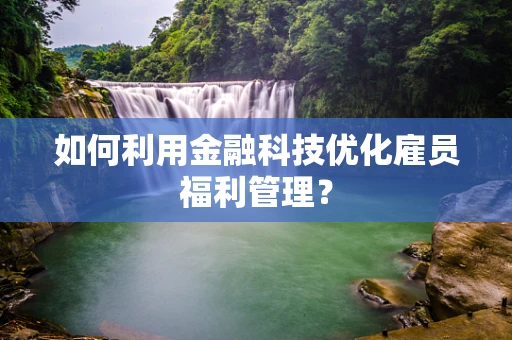 如何利用金融科技优化雇员福利管理？