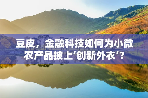 豆皮，金融科技如何为小微农产品披上‘创新外衣’？