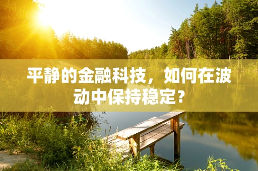 平静的金融科技，如何在波动中保持稳定？