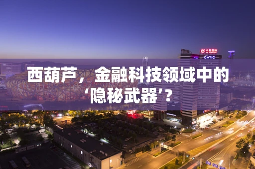 西葫芦，金融科技领域中的‘隐秘武器’？
