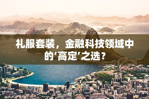 礼服套装，金融科技领域中的‘高定’之选？