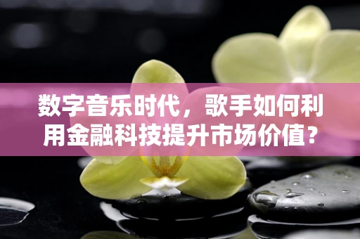 数字音乐时代，歌手如何利用金融科技提升市场价值？