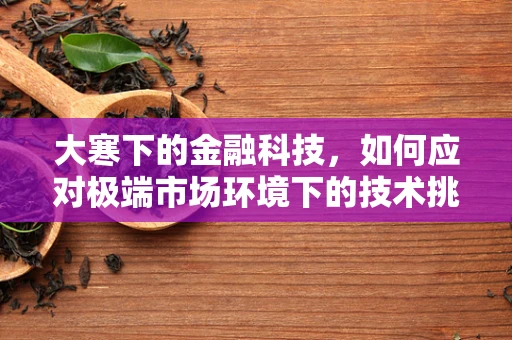 大寒下的金融科技，如何应对极端市场环境下的技术挑战？