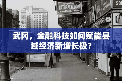 武冈，金融科技如何赋能县域经济新增长极？