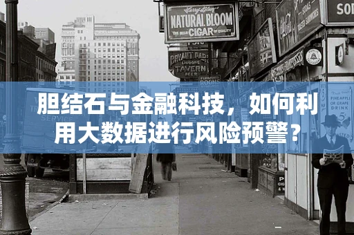 胆结石与金融科技，如何利用大数据进行风险预警？