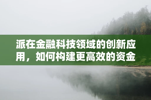 派在金融科技领域的创新应用，如何构建更高效的资金分配模型？