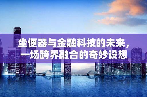 坐便器与金融科技的未来，一场跨界融合的奇妙设想