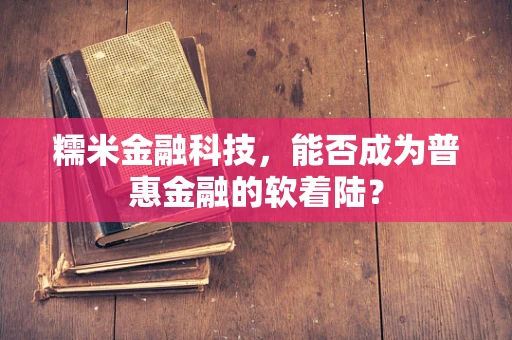 糯米金融科技，能否成为普惠金融的软着陆？