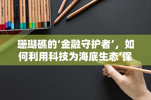珊瑚礁的‘金融守护者’，如何利用科技为海底生态‘保驾护航’？